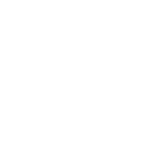 NORDSTAR L.L.C Logo