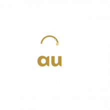 Alaukik Itech Solution Logo