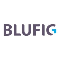 Blufig Digital Logo