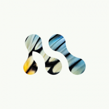 Morph Logo