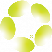 Pragmatic Software Logo