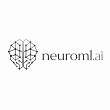 neuroml.ai Logo