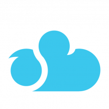 Savenet Solutions Logo