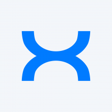 SS IntelligenceX Global Services Private Limited Logo