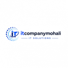 IT company Mohali Logo