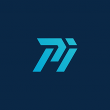Palm Infotech Logo