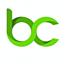 Bezalel Consulting Logo