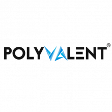 Polyvalent Digital Services Pvt Ltd Logo