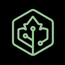 Platanor Technologies Logo