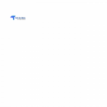 Tus global solutions Logo