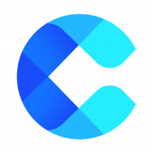 CodeBudee Solutions Logo