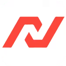 Nearshore Business Solutions Logo
