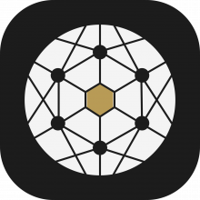 Selvinx Logo
