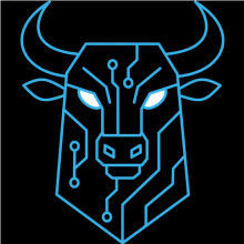 CodingBull Technovations Pvt. Ltd. Logo