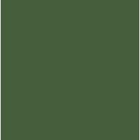 Studio Almond Logo