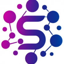 Shree swayam technology Logo