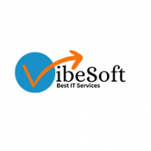 Vibe Soft Logo