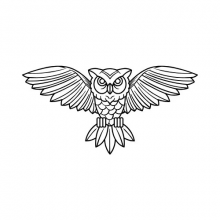 Morphiaas USA Logo