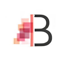 Bridgewater Consulting Group Logo