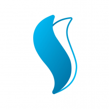 Sharesoft Technology Logo
