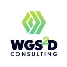 WGS2D Consulting Logo