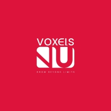 Voxels VU Logo
