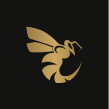 Beetrail International Limited Logo