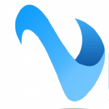 Vizz Web Solutions Logo