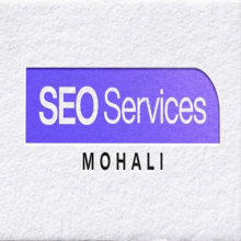 SSM-SEO Services Mohali Logo