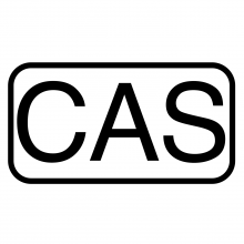 Ctrl Alt Solutions Logo