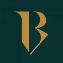 Brand Veneer Studio Logo