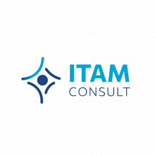 ITAM Consult Logo