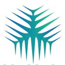 Blockcoaster Logo