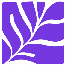 Corals Studio Logo