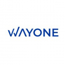 Wayone IT Solutions Logo