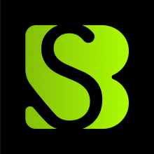 Bhalli Software Solutions Logo