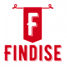 Findise Solutions Private Limited Logo