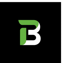 Brand Savvy Team Logo