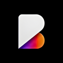 Brandilite Logo