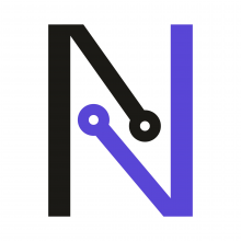 Netogrit Solutions Pvt Ltd Logo