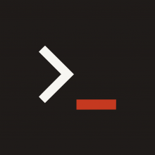 Singleton Solution Logo