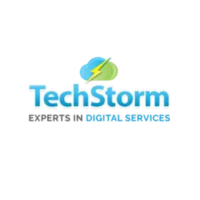 TechStorm Consulting  Ltd Logo