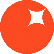 Spaceberry Studio Logo