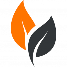 FlowTogether Logo