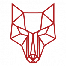 APEX DIGITAL ROMANIA Logo
