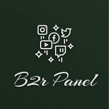 B2r Panel Logo