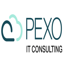 Pexo IT Solution LTD Logo