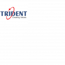 Trident Information Systems UK Logo