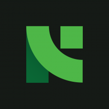 Nizamics Solutions Company Logo