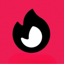 Vibuddy Network Logo